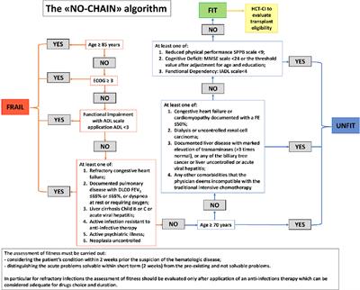 Literature review and expert opinion on the treatment of high-risk acute myeloid leukemia in patients who are eligible for intensive chemotherapy